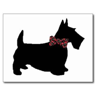 Scottie Dog in Plaid Bow Tie Postcards