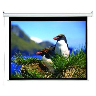 109IN Accuscreens Electric Screen 1610 Matt White (Discontinued by Manufacturer) Electronics