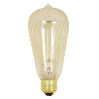 Feit Electric Original Vintage Style 60 Watt Incandescent ST19 Light Bulb (24 Pack) BP60ST19/24