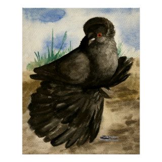 English Trumpeter Dun Pigeon Posters