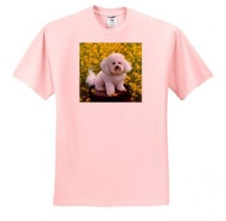 Dogs Bichon Frise   Bichon Frise   T Shirts Novelty T Shirts Clothing