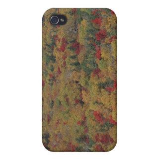 Colored Leaves 4 iPhone 4 Case