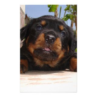 Rottweiler Puppy Trying To Climb Customized Stationery