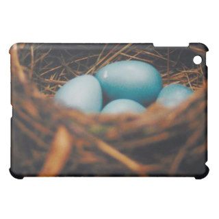 Blue Robin's Eggs iPad Mini Cases