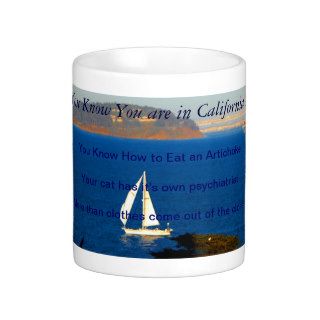 Lets Make fun of California coffee mug