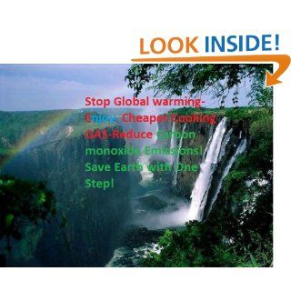 Stop Global warming Enjoy cheaper cooking Gas&Reduce Carbon monoxide Emissions eBook swami nair Kindle Store