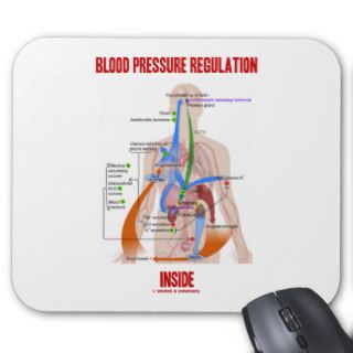 Blood Pressure Regulation Inside (Anatomical) Mousepads