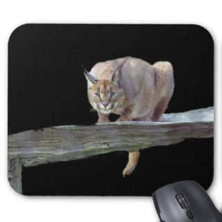 Caracal Cat Crouching Mousepad