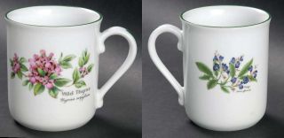 Royal Worcester Worcester Herbs Green Trim Mug, Fine China Dinnerware   Malvern,