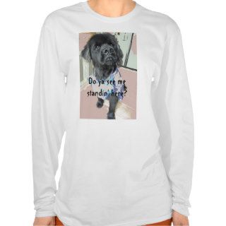 Newfoundland Dog Shirt