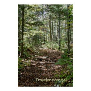 Adirondack Path Poster