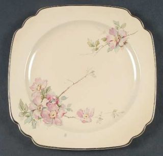 Homer Laughlin  Briar Rose Luncheon Plate, Fine China Dinnerware   Century Shape