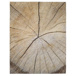 Cross section of tree trunk jigsaw puzzles