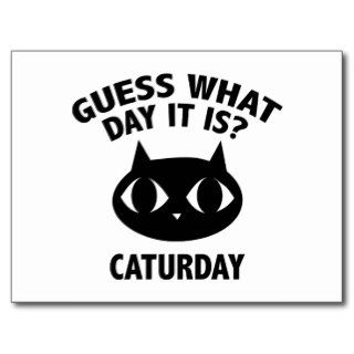Guess What Day It Is? Caturday Post Cards
