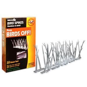 Bird X 10 ft. Plastic Bird Spikes Kit with Glue SP 10 NR