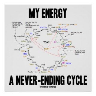 My Energy A Never Ending Cycle (Krebs Cycle) Poster