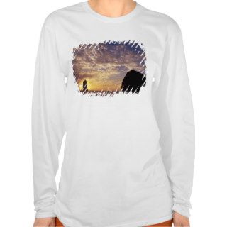 NA, USA, Oregon, Oregon Coast, Canon Beach with T Shirts