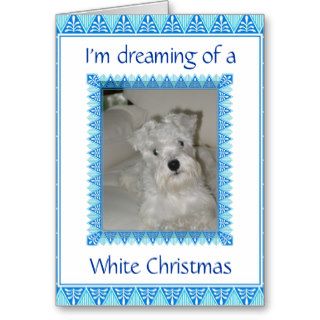 Schnauzer White Christmas Card