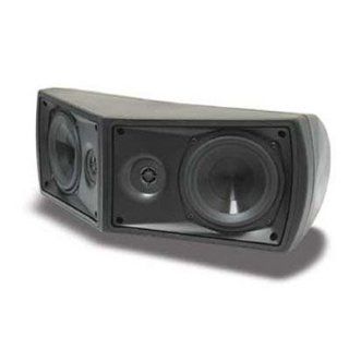 SpeakerCraft WS940 Weather Craft Indoor / Outdoor Speakers, Black, 2 x 13,3 cm Polypropylene Cone Woofer Electronics