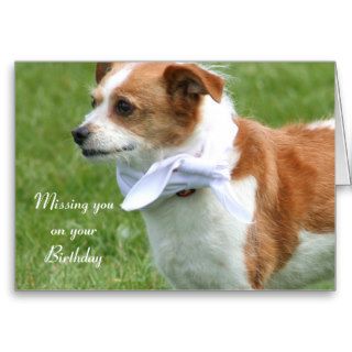 Missing you on your birthday Terrier mix dog card