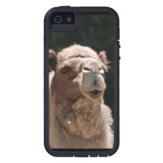 Cute Camel Case For iPhone 5