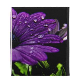 Beautiful Purple African Daisy iPad Case