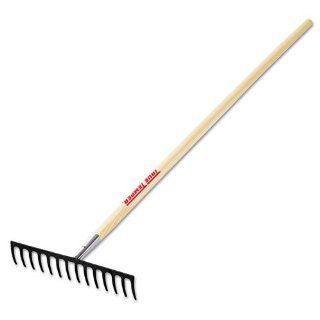 Ames True Temper Level Head Rake with 60 Inch with Chrome Ferrule 1853000 (Discontinued by Manufacturer)  Patio, Lawn & Garden
