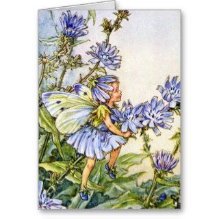 THE CHICORY FAIRY CARD