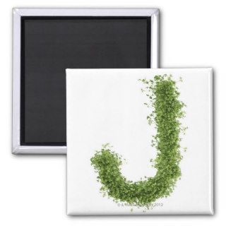 Letter 'J' in cress on white background, Magnets