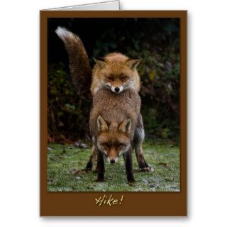 Mating Foxes Cards