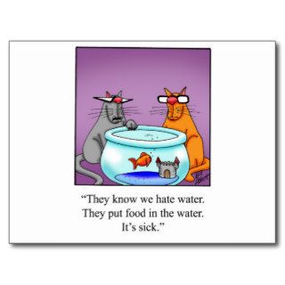 Funny Cats Cartoon Gift Post Cards