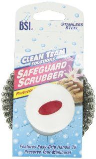 BSI Clean Team Solutions Stainless Steel Scourer with Handle, 6 Count Boxes Health & Personal Care