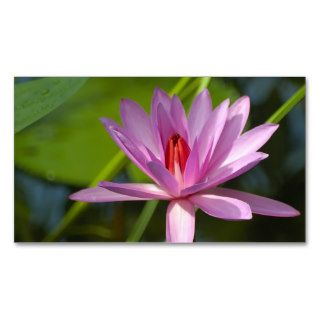 Pink lotus business card