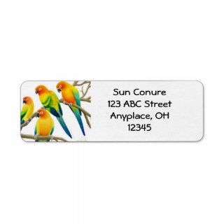 Sun Conure Parrots Label