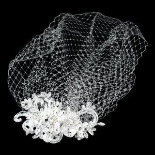 Annora Bridal Birdcage Veil with Crystal, Rhinestones and Lace Clip White  Hair Clips  Beauty