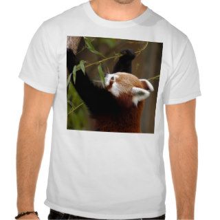 red panda 021 tshirts
