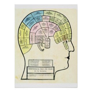 Antique 1857 phrenological head and chart print