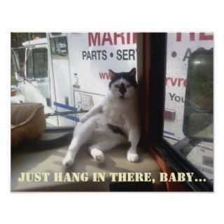 Hang In There Baby Cat Poster Kitty Cats Posters