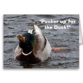 Funny Mallard Duck Birthday Card