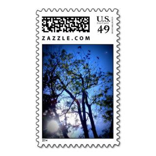 Shinn Park Fremont Ca. Series 2 Postage Stamp