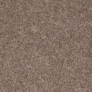 Worthy I   Color Chocolate 12 ft. Carpet HDD1213700