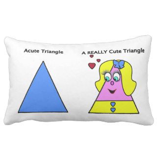 Acute Triangle A Really Cute Triangle Pillow
