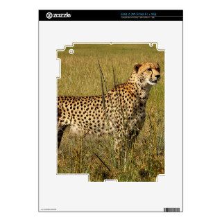 Wild African Cheetah in Savannah Grasses Skins For iPad 2