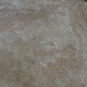 Stonemark Granite 3 in. Granite Countertop Sample in Juparana Arandis DT G469