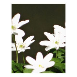 Five pretty white flowers letterhead design