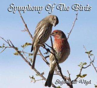 Symphony of the Birds Music