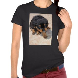 Cute and Fluffy Rottweiler Puppy Tees