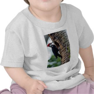 Pileated woodpecker t shirt