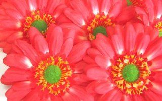 (50) BIG Silk Orange Gerbera Daisy Flower Heads, Gerber Daisies   3.5"   Artificial Flowers Heads Fabric Floral Supplies Wholesale Lot for Wedding Flowers Accessories Make Bridal Hair Clips Headbands Dress  