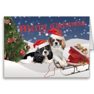 Have A Cavalier Merry Christmas Cards